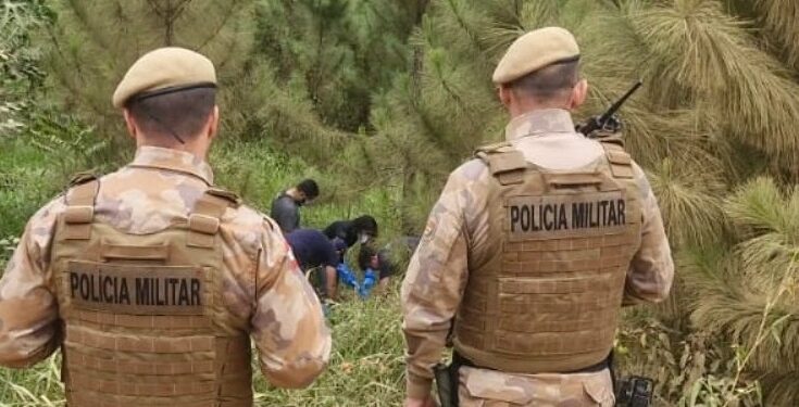 Corpos em decomposição são encontrados em Barra Velha