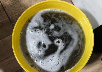 [Vídeo] Santa Catarina registra primeira ocorrência de chuva preta no Oeste do estado