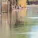 Chuvas alagam ruas e destelham casas no Rio Grande do Sul