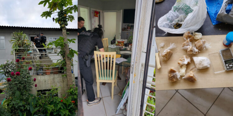 [Vídeo e fotos] Polícia faz operação em condomínios de Guaramirim