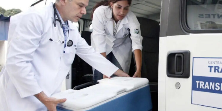 Polícia Federal vai investigar infecção de pacientes por HIV após transplantes