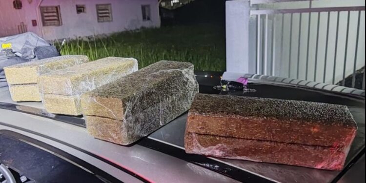 Polícia Militar apreende 6 quilos de maconha durante abordagem em Schroeder