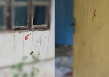 Mulher é detida após ferir a irmã com faca em Schroeder