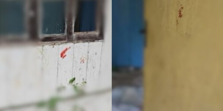 Mulher é detida após ferir a irmã com faca em Schroeder