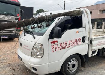 [Vídeo] Caminhões enroscam em fios e poste cai em cima de veículo em Jaraguá do Sul