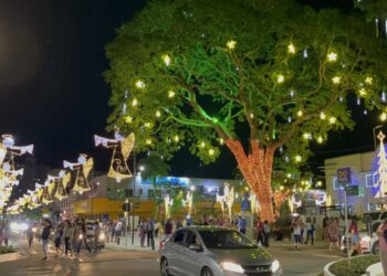 Jaraguá do Sul terá 15 locais com decoração natalina