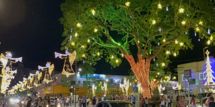 Jaraguá do Sul terá 15 locais com decoração natalina