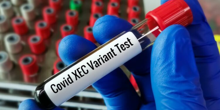 Jaraguá do Sul confirma dois casos da nova variante da covid-19