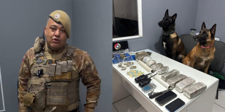 Dois traficantes são presos com ‘supermaconha’ em Jaraguá do Sul