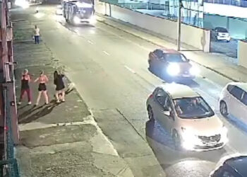 Pitbull pula de carro em movimento e assusta mulheres em Joinville