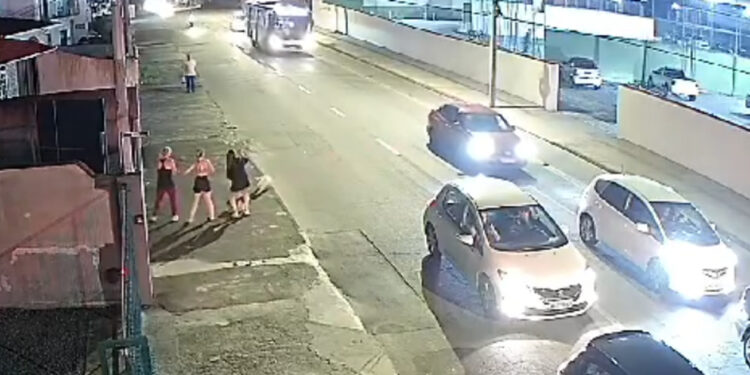 Pitbull pula de carro em movimento e assusta mulheres em Joinville