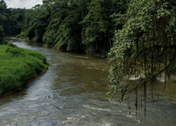 Bombeiros fazem buscas por adolescente desaparecido no rio, em Guaramirim