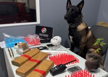 Dois homens são presos com grande quantidade de droga em Guaramirim