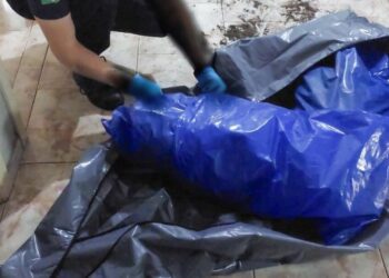 GAECO encontra ossada em casa e efetua prisão de empresário em SC