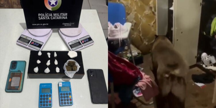 [Vídeo] Dois homens são presos por tráfico de drogas em Jaraguá