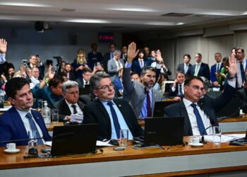 CCJ do Senado isenta armas e refrigerantes do Imposto Seletivo