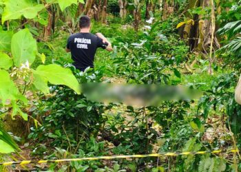 Agricultor encontra corpo de homem em Jaraguá do Sul