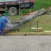 Eletricista morre em Joinville e homem grava vídeo revoltado: “Trabalhando com o corpo do lado como se fosse um cachorro”