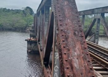 Mulher cai no rio ao tirar foto e é salva por cadarço de tênis em Araquari