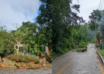 Jaraguá do Sul e região com chance de temporal neste domingo (19)