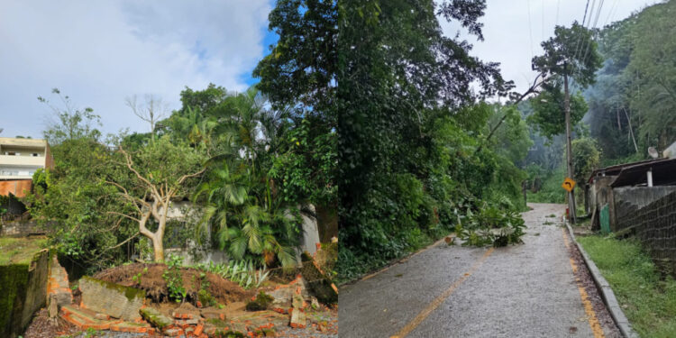 Jaraguá do Sul e região com chance de temporal neste domingo (19)