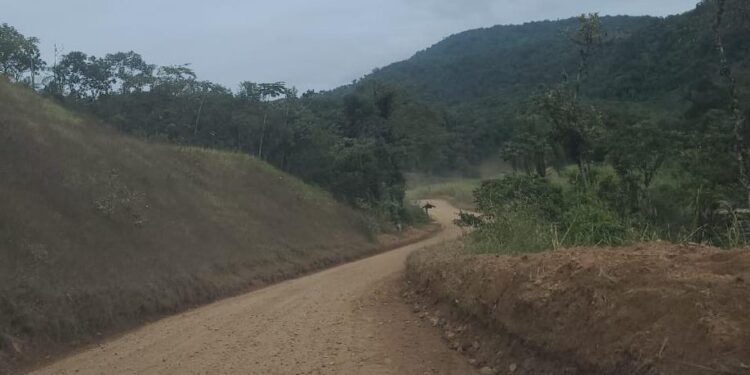 [Jaraguá] Rua Werner Fischer no Alto Garibaldi será asfaltada