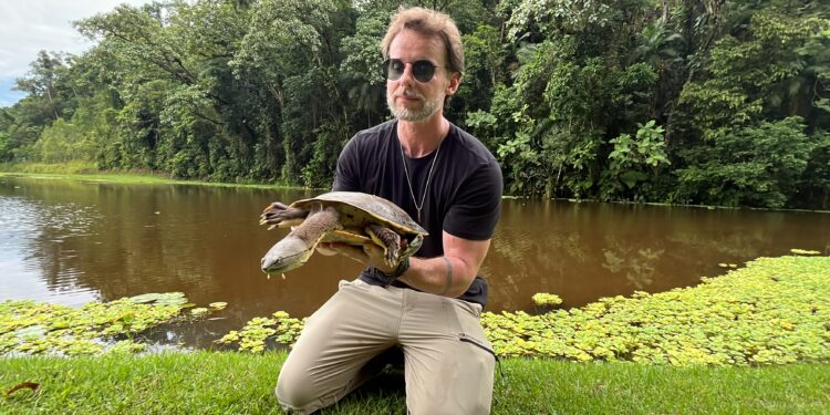Espécie rara de Cágado é capturada e solta no Parque da Inovação, em Jaraguá do Sul