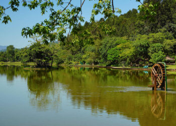 Parque Malwee anuncia novas regras para o trânsito de veículos