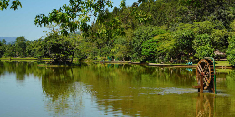 Parque Malwee anuncia novas regras para o trânsito de veículos