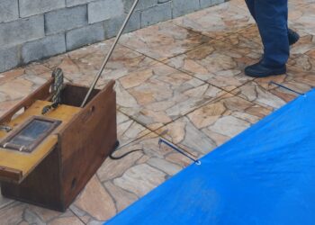 [Vídeo] Cobra caninana é encontrada em residência em Araquari: “Perto de piscina”