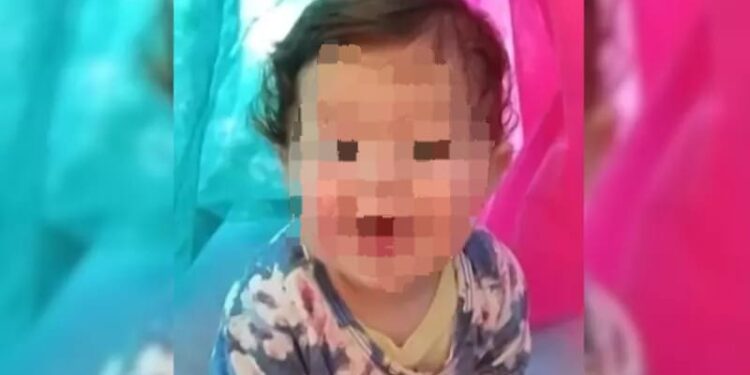 Inquérito da bebê velada com sinais vitais em SC é arquivado pelo MP