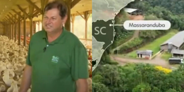 [Vídeo] Massaranduba é destaque no Globo Rural sobre criação de marrecos