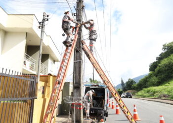 Mais de 23 toneladas de cabos foram removidos dos postes em Jaraguá do Sul