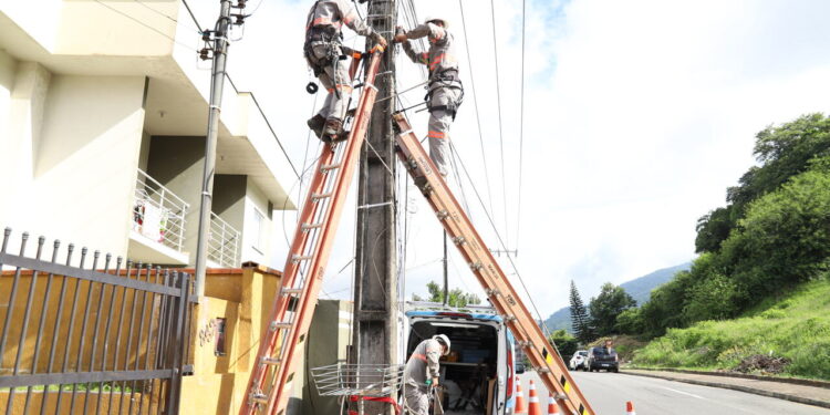 Mais de 23 toneladas de cabos foram removidos dos postes em Jaraguá do Sul