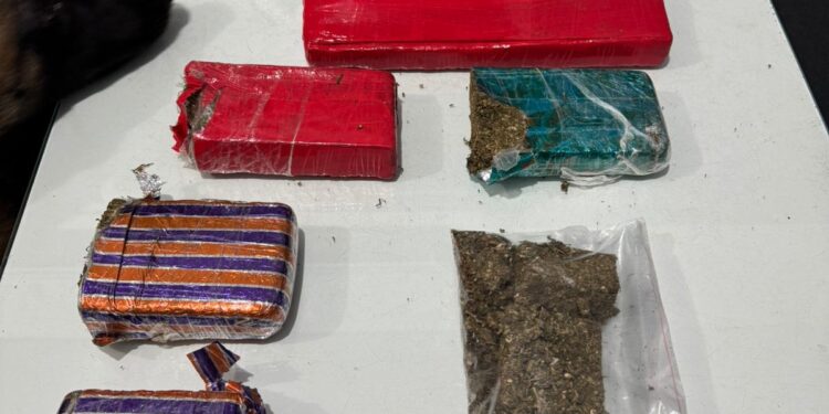 Mais de 2,8kg de maconha são apreendidos em Guaramirim