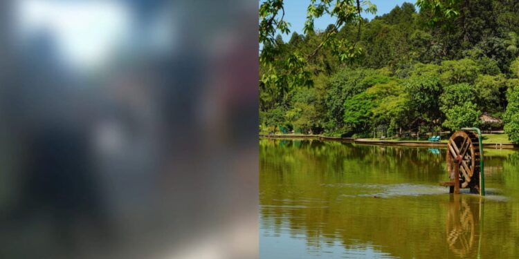 “Gosto de Jaraguá e tenho orgulho de ser nordestino”, diz vigilante alvo de preconceito no Parque Malwee