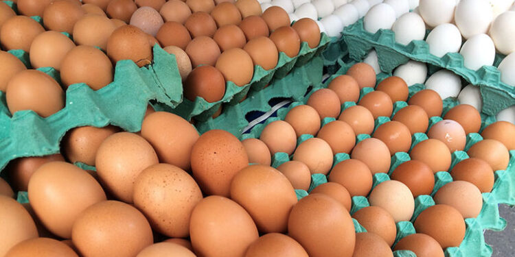 Ovos terão carimbo de validade a partir de março