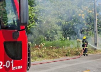 Fogo destrói 800 metros quadrados de vegetação em Schroeder