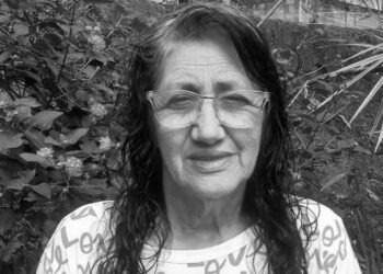 Idosa morre após ataque de marimbondos em Guaramirim