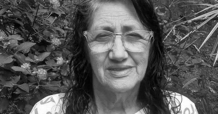 Idosa morre após ataque de marimbondos em Guaramirim