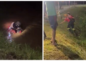 [Vídeo] Mulher se perde em curva e cai com carro no Rio Itapocu, na Via Verde