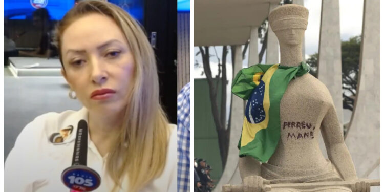 [Vídeo] Advogada de Jaraguá do Sul está defendendo mulher que pichou estátua do STF com ‘perdeu, mané’