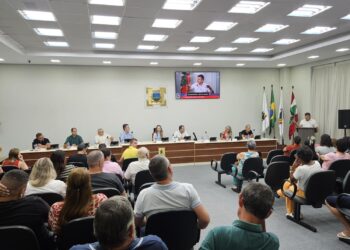 Vereadores exigem explicações da Celesc por constantes quedas de energia em Guaramirim