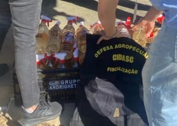 Mulher é presa em Guaramirim por produzir e vender agrotóxico como produto orgânico