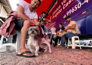 Fujama vai intensificar programa de castração de cães e gatos