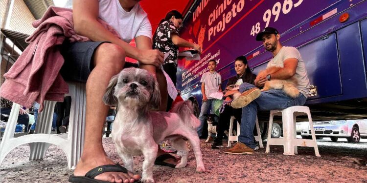 Fujama vai intensificar programa de castração de cães e gatos