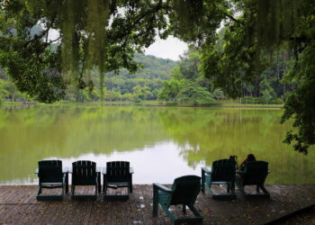 Dia Mundial da Água terá programação especial no Parque Malwee neste sábado (22)