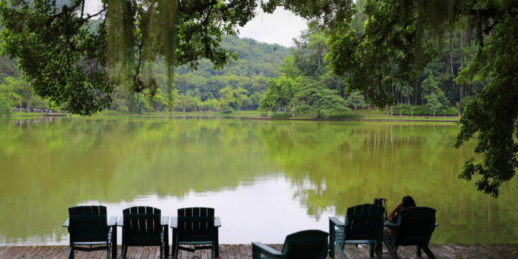 Dia Mundial da Água terá programação especial no Parque Malwee neste sábado (22)