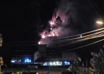 [Vídeos e fotos] Fogo destrói mais de 16,5 mil metros quadrados de vegetação em Jaraguá do Sul