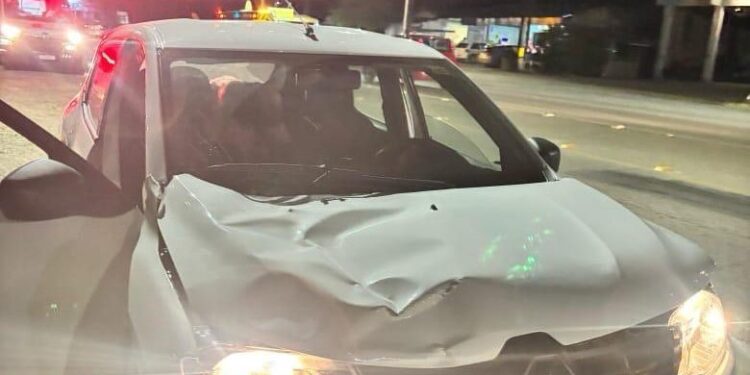 Criança de 9 anos morre atropelada na BR-280, em Araquari